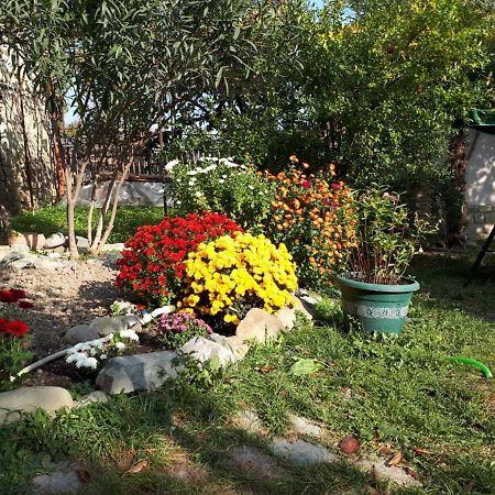 Old House Apartment With Garden Area Mtsʼkhetʼa Εξωτερικό φωτογραφία
