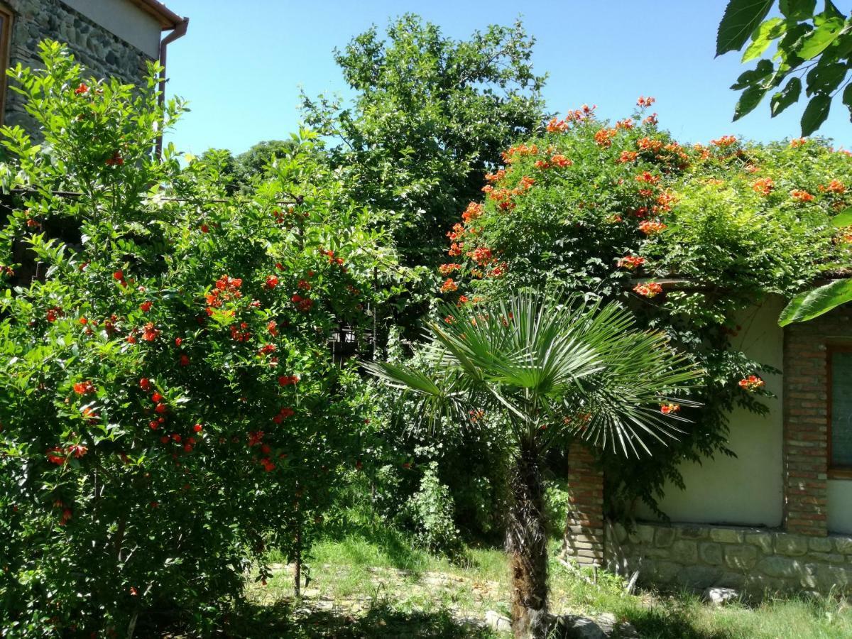 Old House Apartment With Garden Area Mtsʼkhetʼa Εξωτερικό φωτογραφία