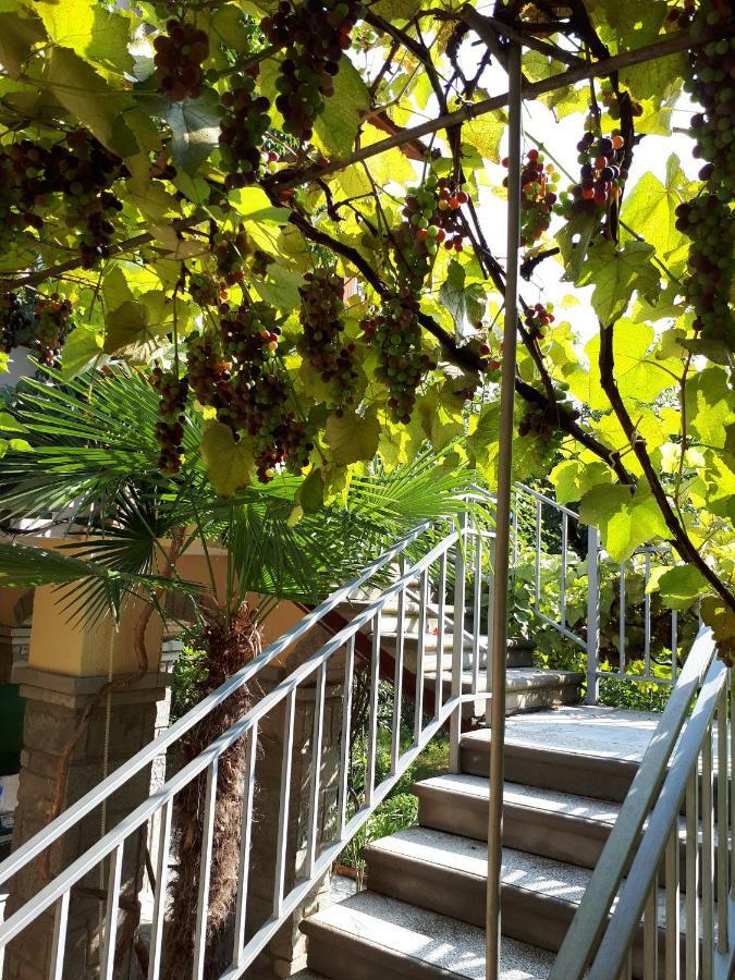 Old House Apartment With Garden Area Mtsʼkhetʼa Εξωτερικό φωτογραφία
